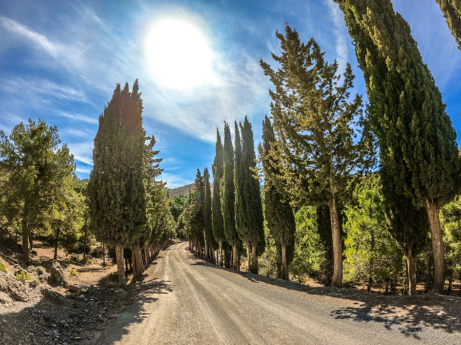 Bikepacking Andalusien – Etappe 4 Zypressen Verschönern Den Weg