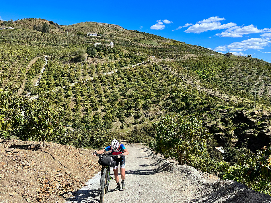 Bikepacking Andalusien – Etappe 10 Inmitten Der Avocado-Plantagen